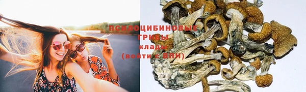 героин Абаза