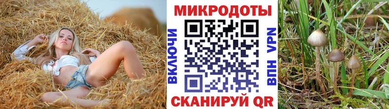 цены   Ужур  Галлюциногенные грибы Cubensis 